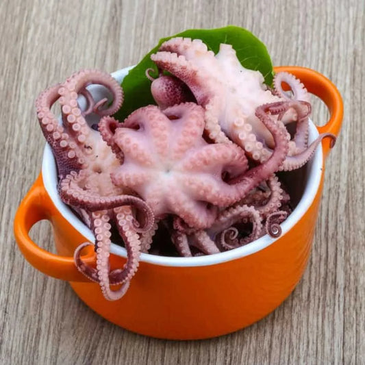 Octopus