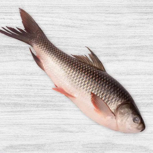 River Rohu Whole 1 - 1.2 kg