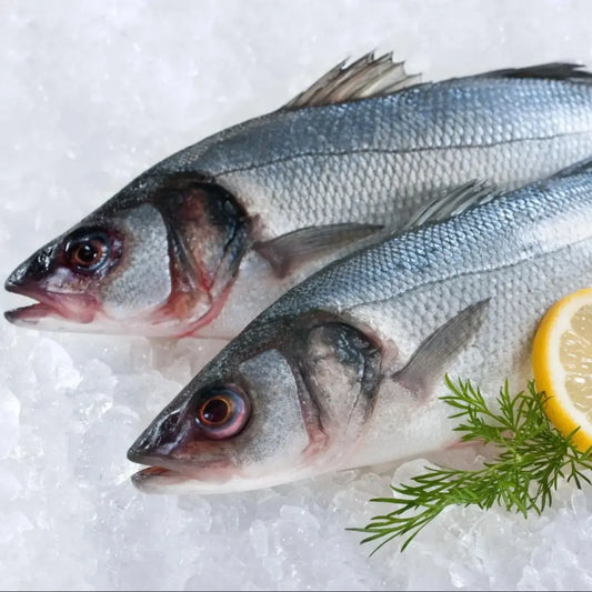 Calcutta Bhetki / Sea Bass Whole 1.25-1.5 kg