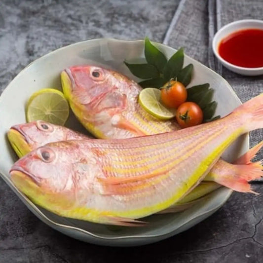 Rani /Pink Perch /Baby Red Snapper