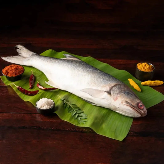 Indian Salmon / Rawas Whole