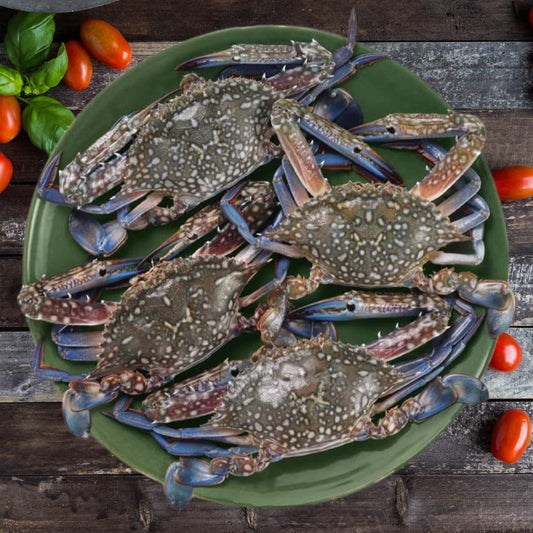 Blue Swimming Crab (3 – 4 PCS / KG)