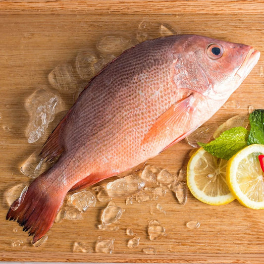 Red snapper whole 1.25 - 1.5 kg
