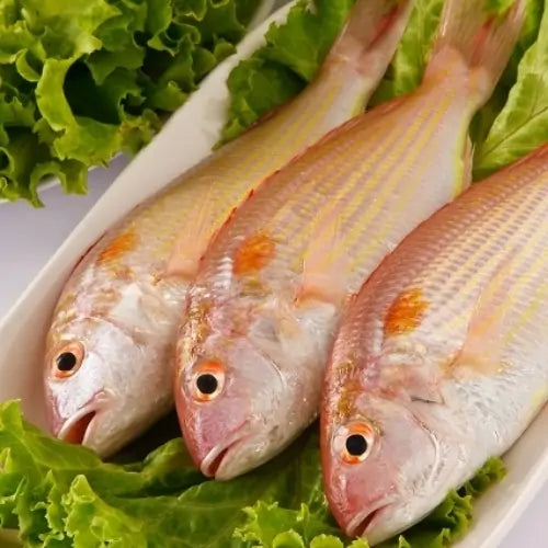 Rani /Pink Perch /Baby Red Snapper