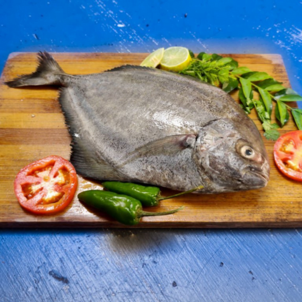 Buy Black Pomfret Online Best Prices Delhi Gurgaon Delivery