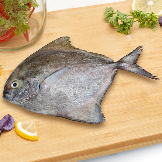 Black Pomfret Whole