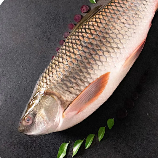 River Rohu Whole 3.5 - 4 kg