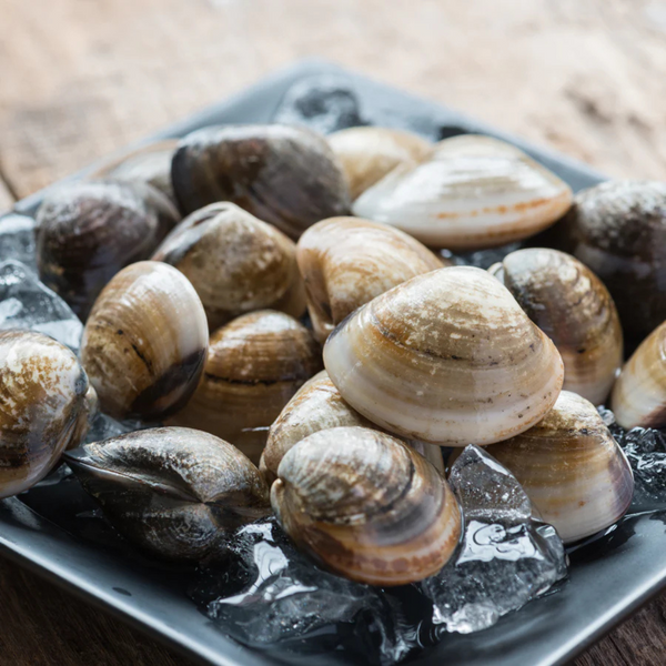 Fresh Clams