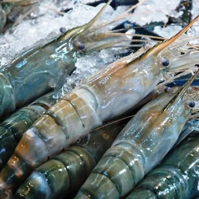 Jumbo Prawns ( 4 – 5 Pcs) 1 Kg (झींगा)