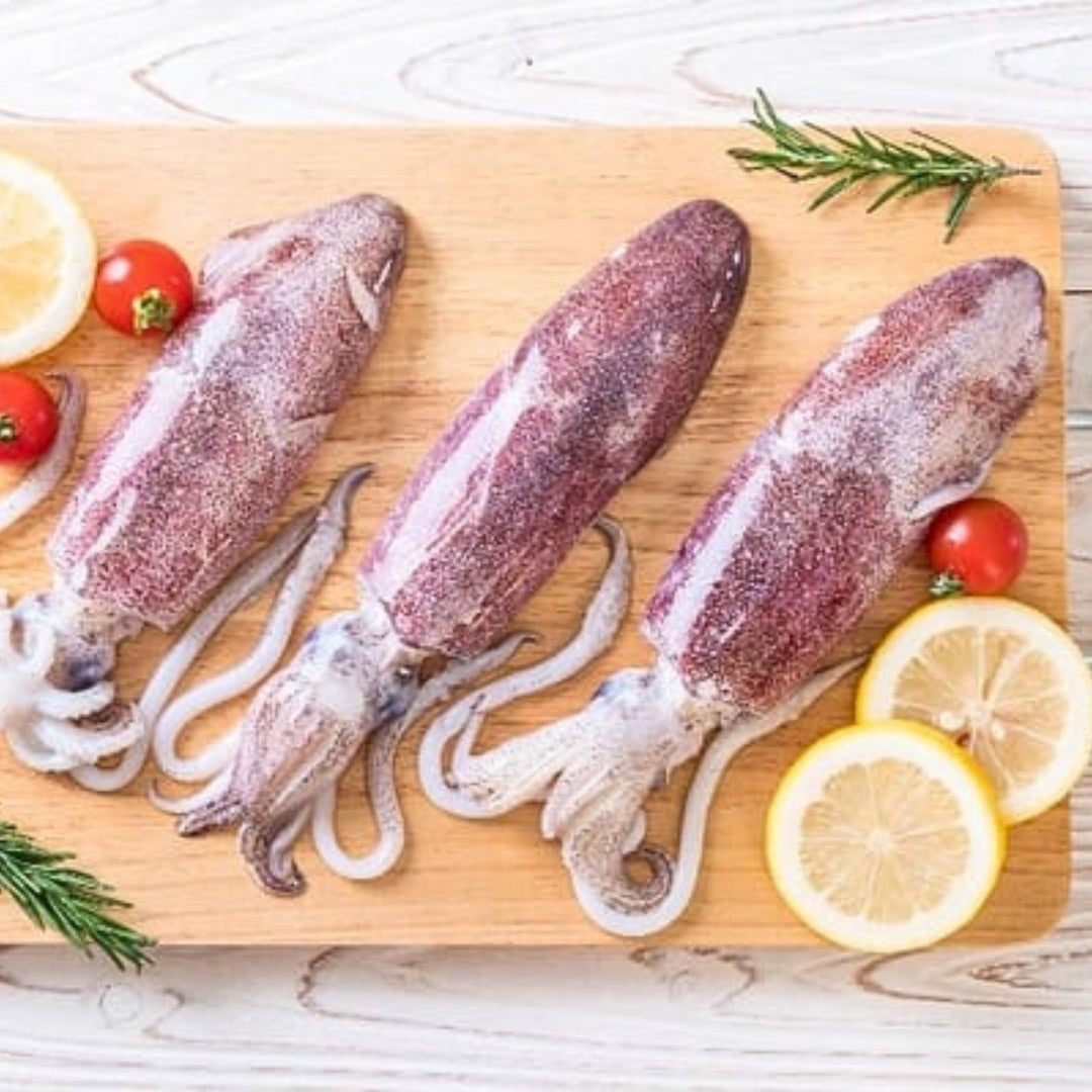 Fresh Squid (Calamari) | Ultra-Fresh, Cleaned & Ready to Cook – Pick ...