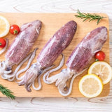 Fresh Squid (Calamari)