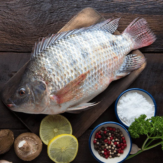 Tilapia Whole