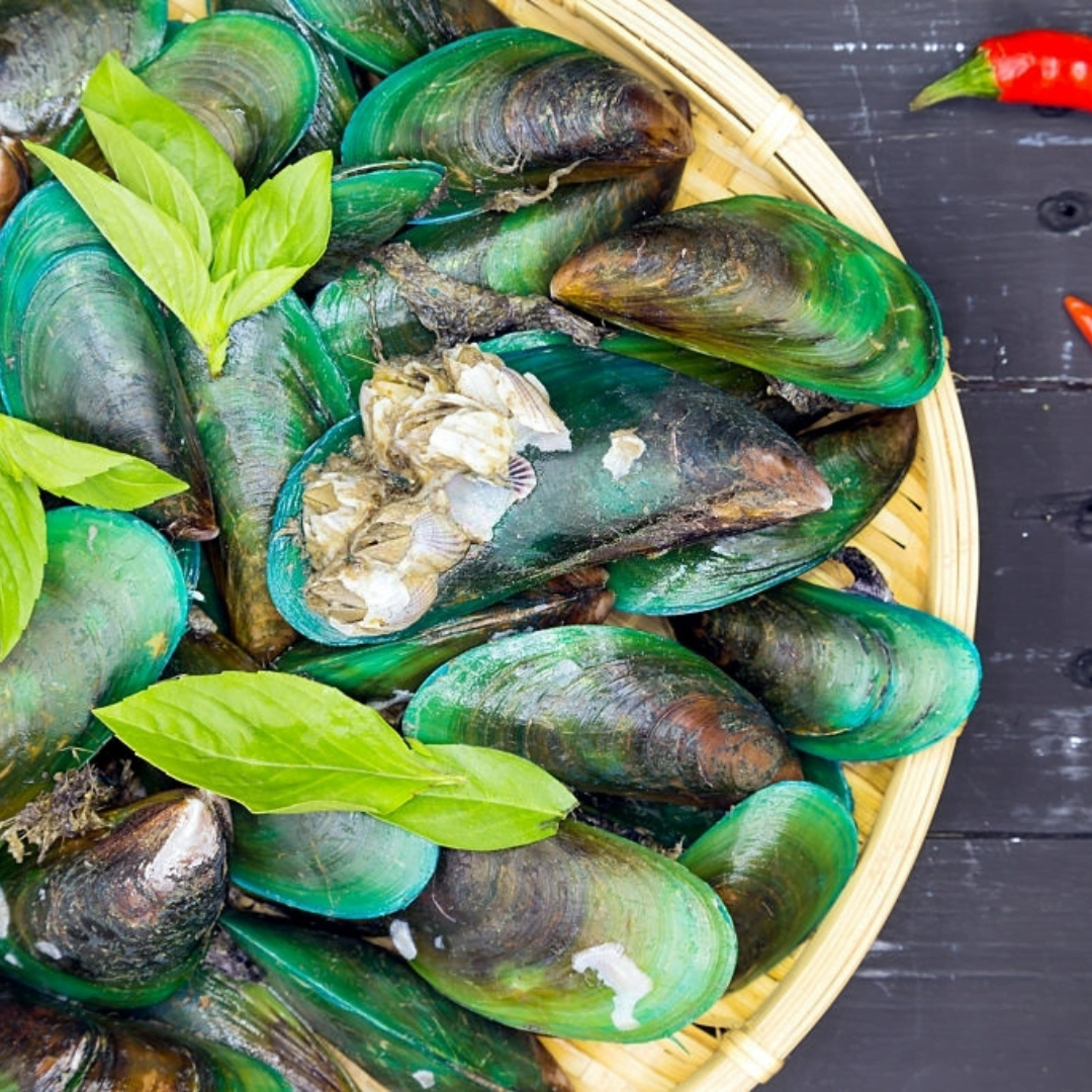 Buy Green Mussels Online Best Prices Delhi Gurgaon Delivery