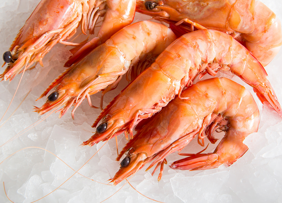 Prawns King U 3 10 12 Pcs Pick Fresh Fish